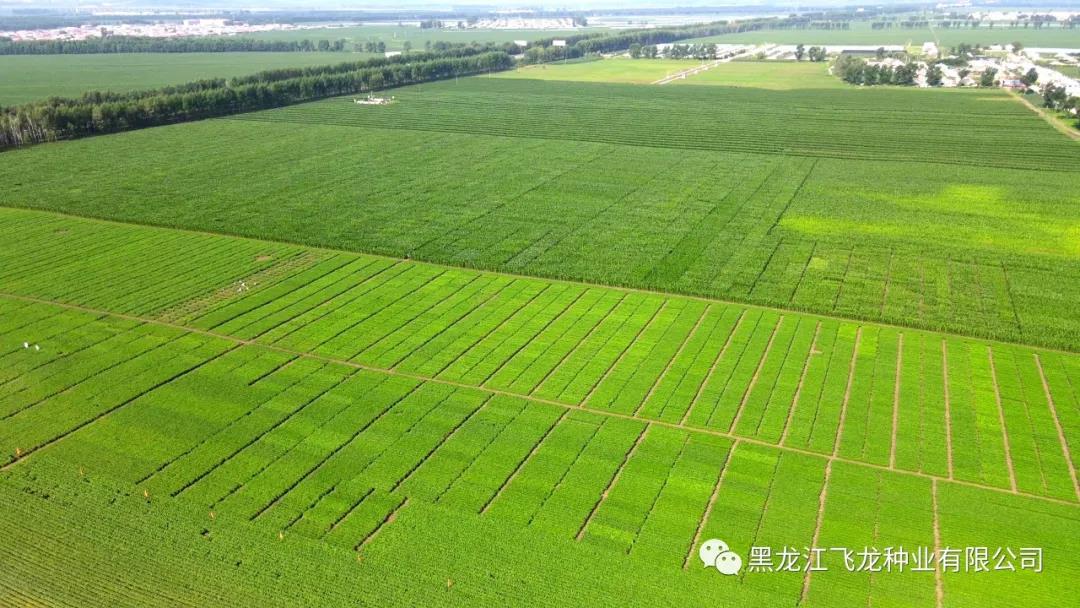 1640655465950399.jpg 2.jpg