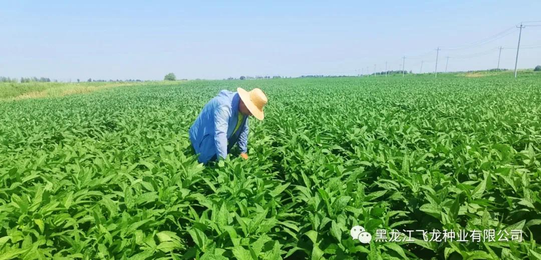 1640660191142306.jpg 8.jpg