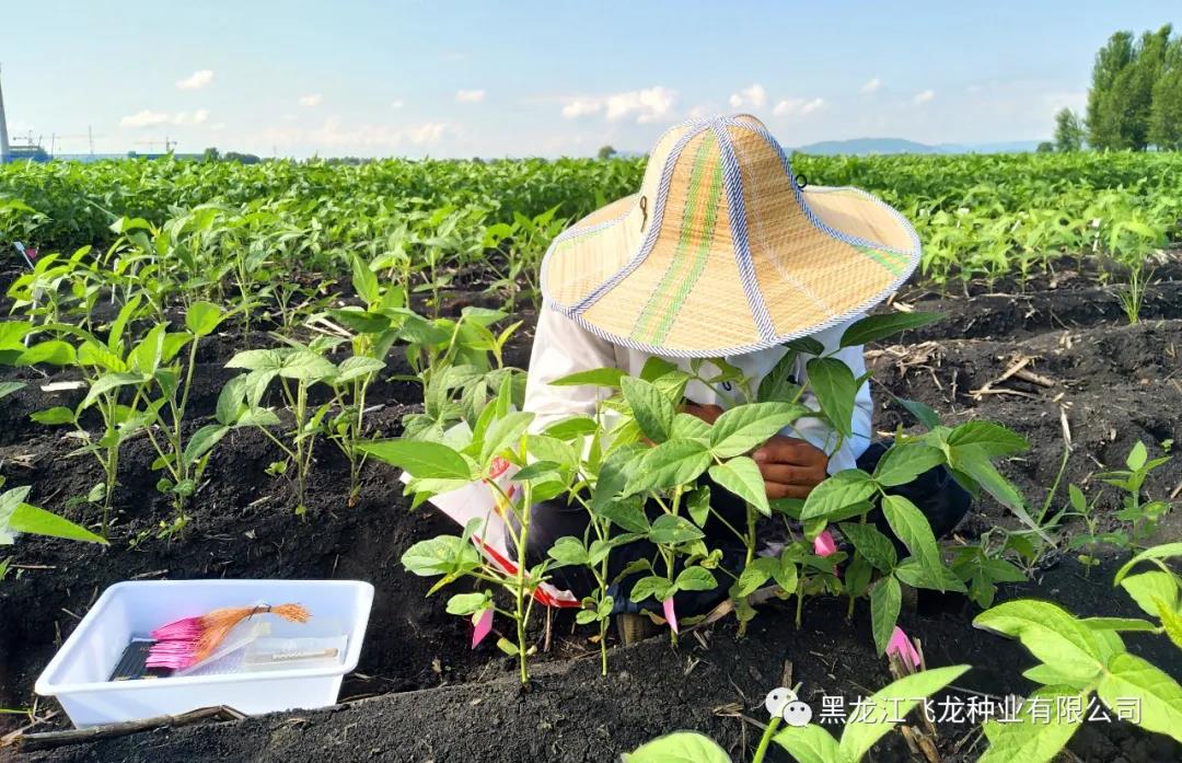 1640660387340940.jpg 2.jpg