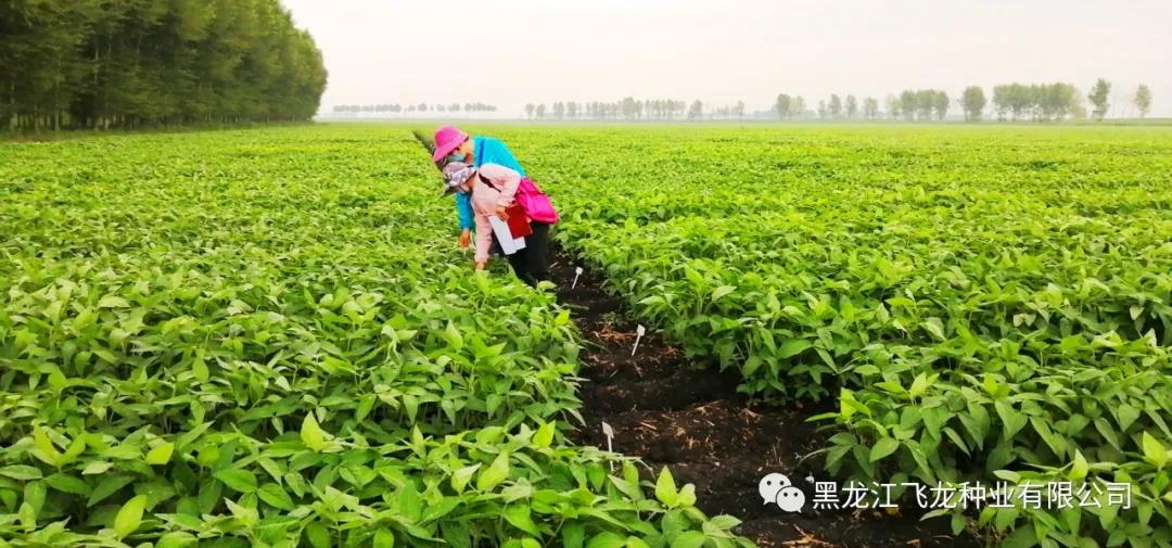 1640661496741480.jpg 9.jpg