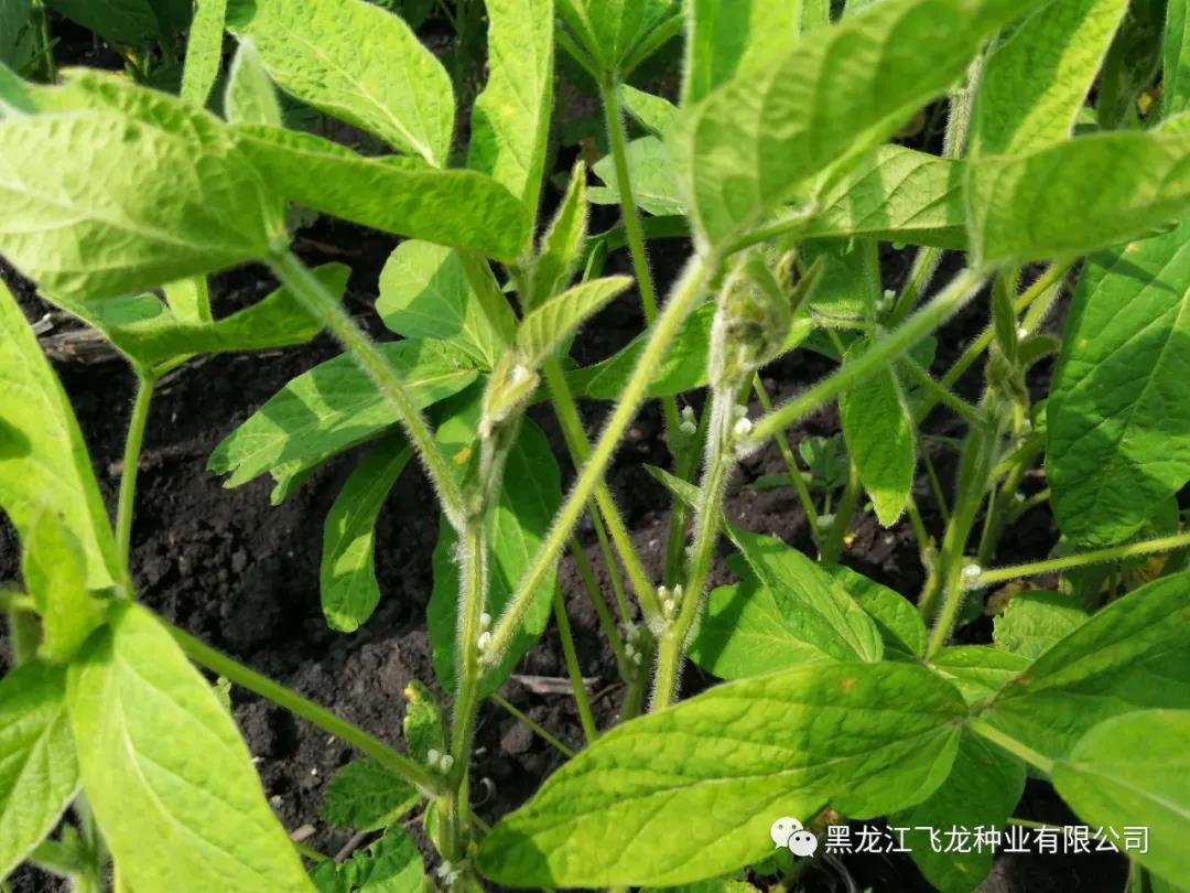 1640661548532346.jpg 11.jpg