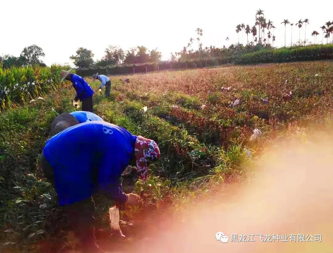 1640674217113078.jpg 2.jpg