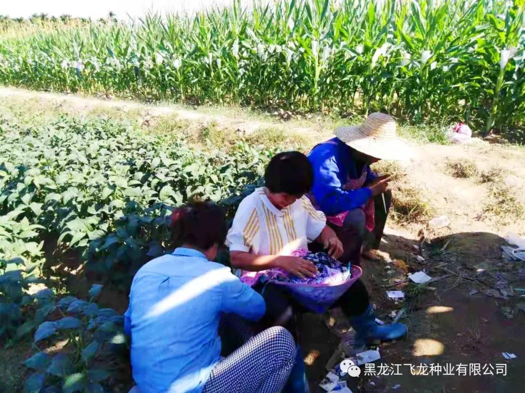 1640675374590740.jpg 8.jpg