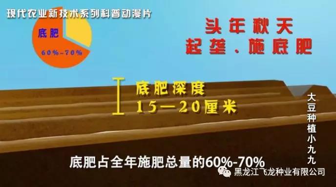 1640675660666347.jpg 6.jpg