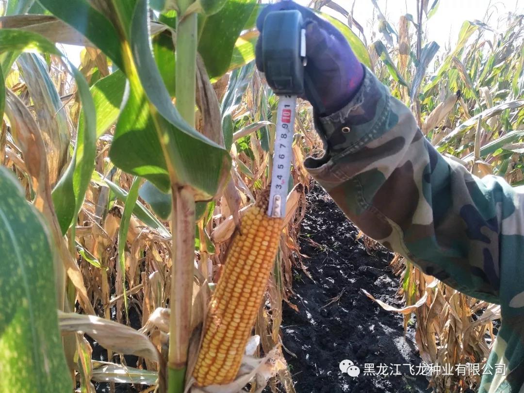 1640677858681150.jpg 14.jpg