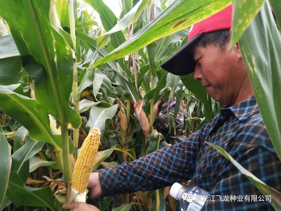 1640677881516381.jpg 15.jpg