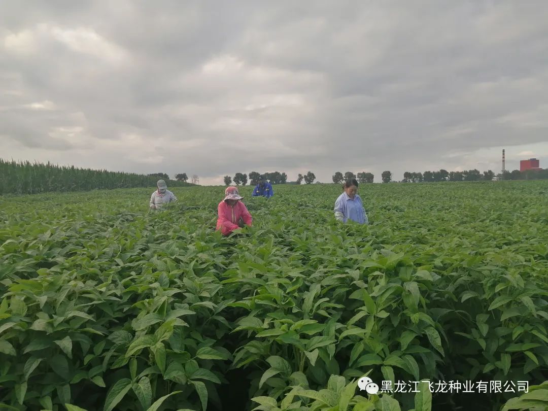 1658970570314562.jpg 11.jpg