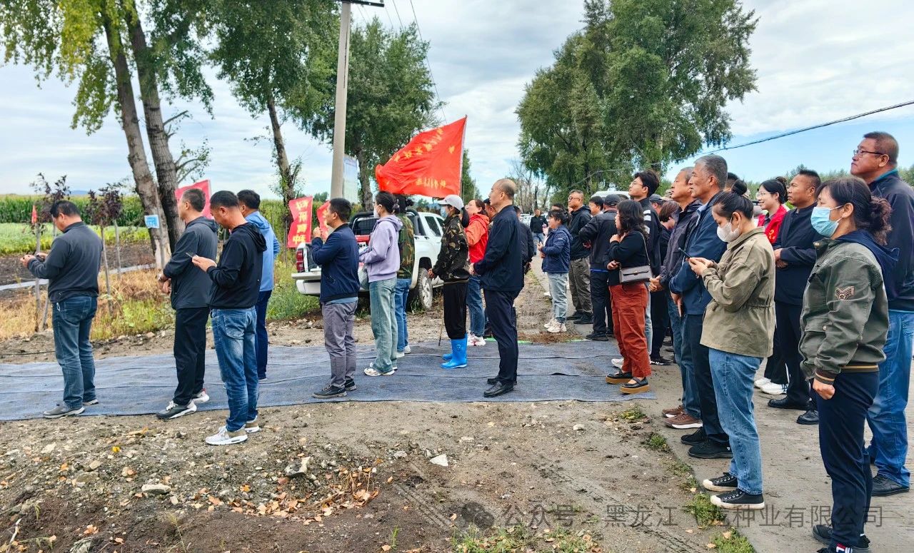 1725583539602143.jpg 5.jpg